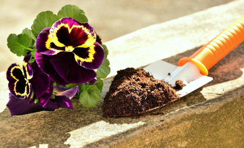 Gardening Event