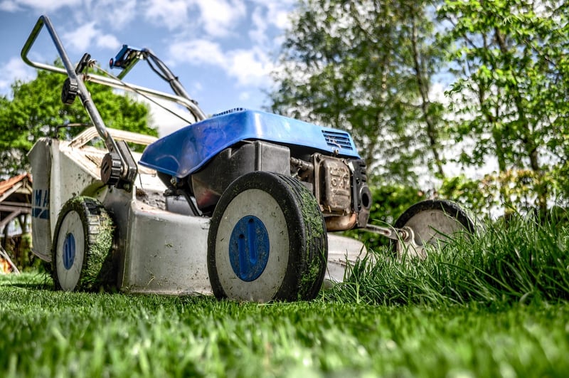 Community Garden Clean-Up